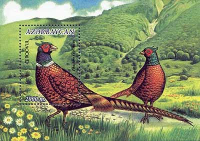 znaczek Azerbejdżanu