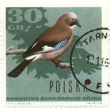 Sójka (zn. nr. 1572)